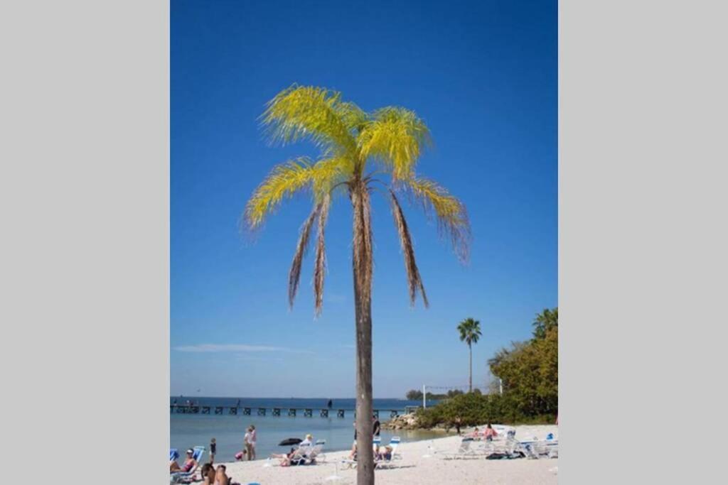 Little Harbor Resort #206 Tampa Bay Fl Beach, Bayview, 2 Pools Ruskin Exterior foto